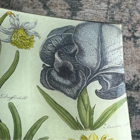 🆕 SIGNED John Derian Floral Print Dish Tray Plate Catch All Design Hanging Art - Picture 4 of 13